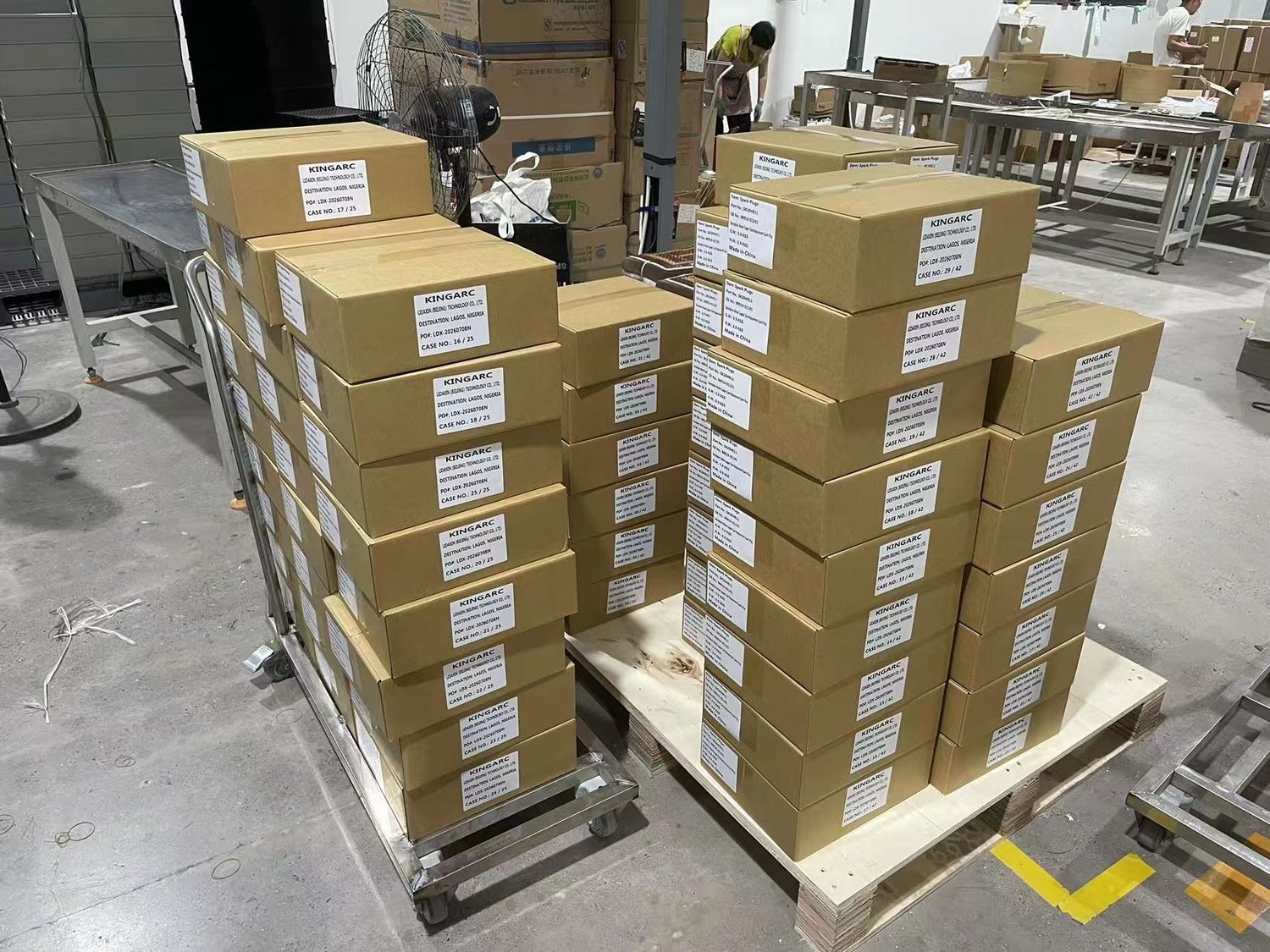 Cartons labelled and stacked on the packing floor