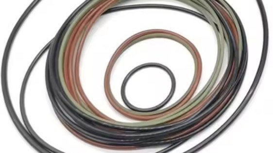 O-ring assortment close up — sections and diameters matched per position